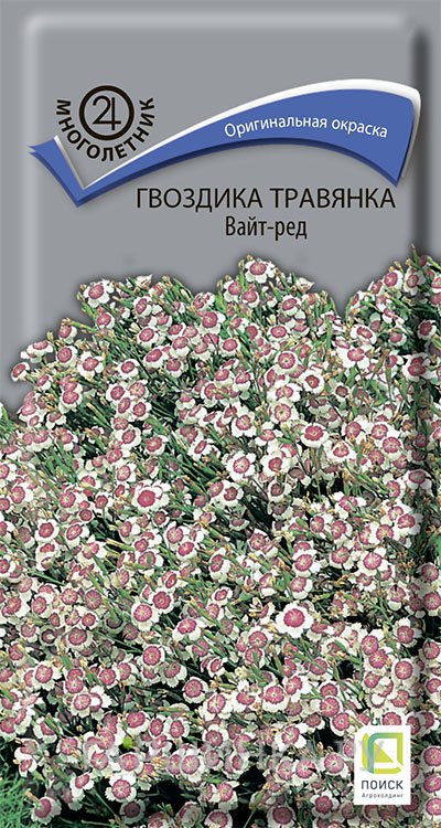 Семена Гвоздика травянка Вайт-Ред 0,1, Поиск