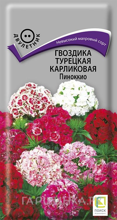 Семена Гвоздика Турецкая карликовая Пиноккио 0,3, Поиск