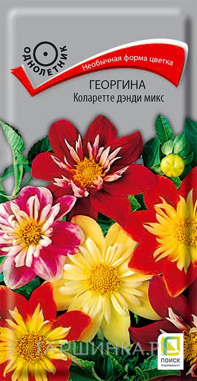 Семена Георгина Коларетте дэнди микс 0,2, Поиск
