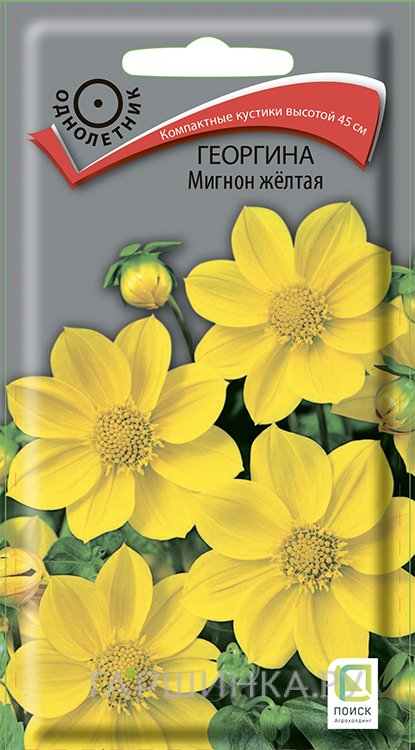 Семена Георгина Мигнон желтая 0,2, Поиск