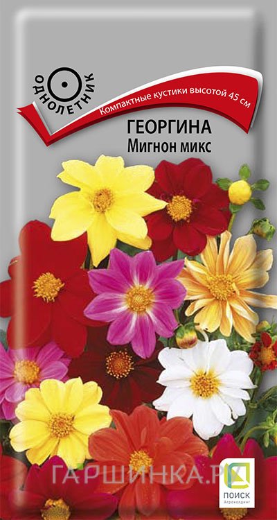 Семена Георгина Мигнон микс 0,2, Поиск