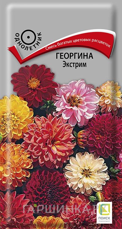 Семена Георгина Экстрим 0,2, Поиск