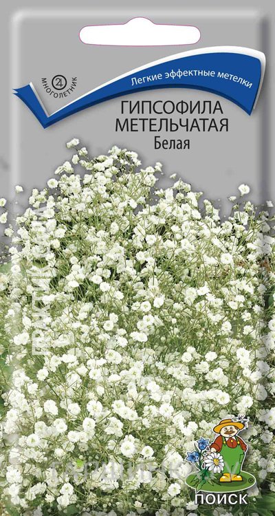 Семена Гипсофила метельчатая Белая 0,2, Поиск