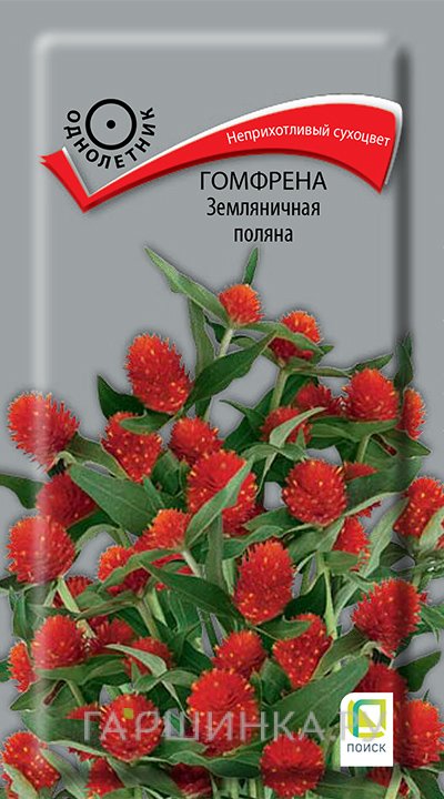 Семена Гомфрена Земляничная поляна 0,1, Поиск