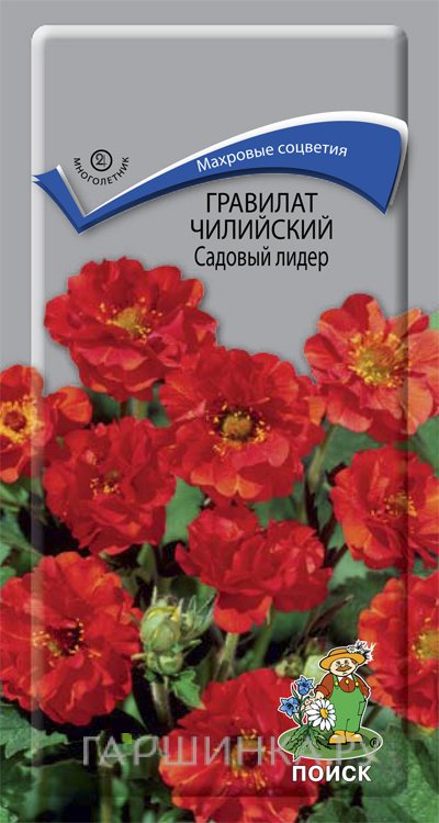 Семена Гравилат чилийский Садовый лидер 0,1, Поиск