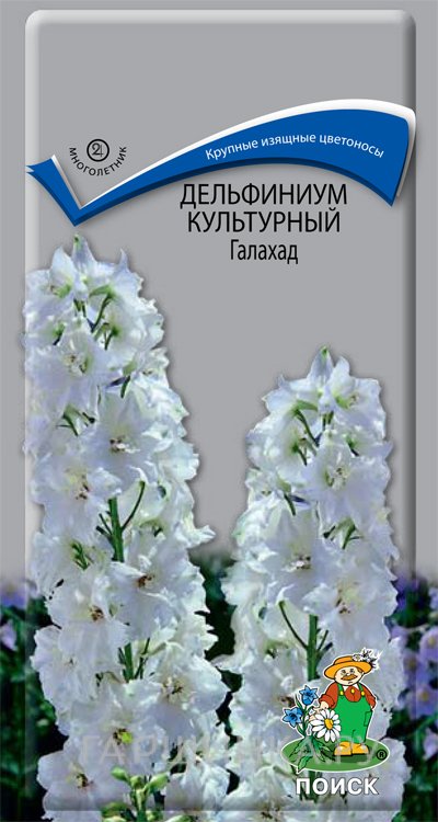 Семена Дельфиниум культурный Галахад 0,1, Поиск