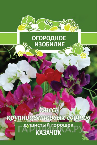 Семена Душистый горошек Казачок 2, Поиск