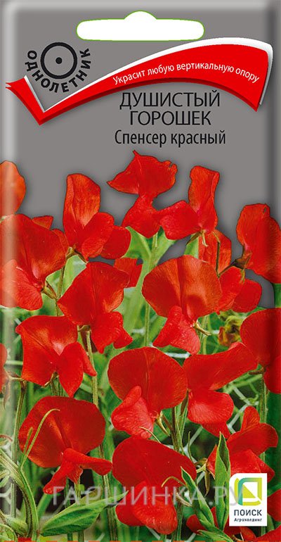 Семена Душистый горошек Спенсер красный 1, Поиск