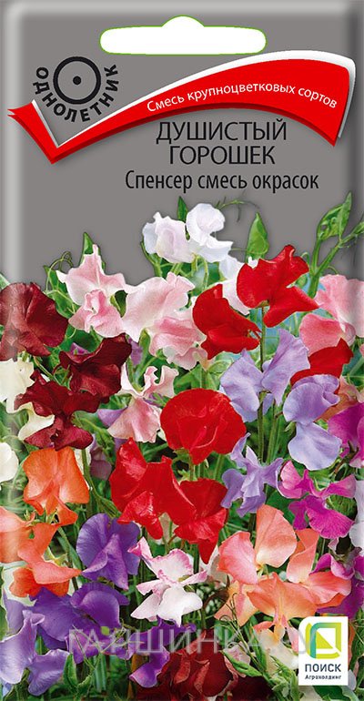 Семена Душистый горошек Спенсер смесь окрасок 2, Поиск