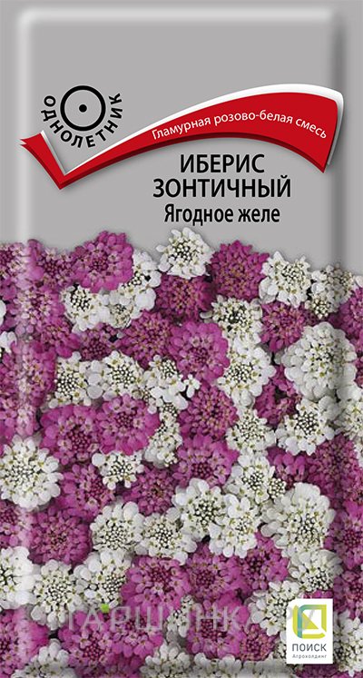 Семена Иберис зонтичный Ягодное желе 0,1, Поиск