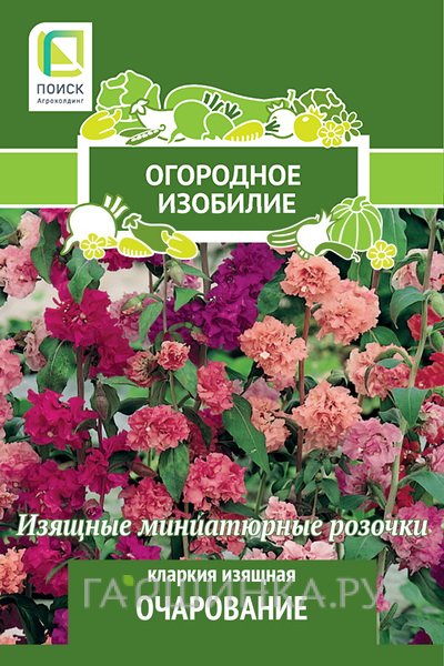 Семена Кларкия изящная Очарование 0,2, Поиск