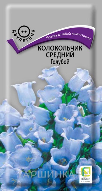 Семена Колокольчик средний Голубой 0,2, Поиск