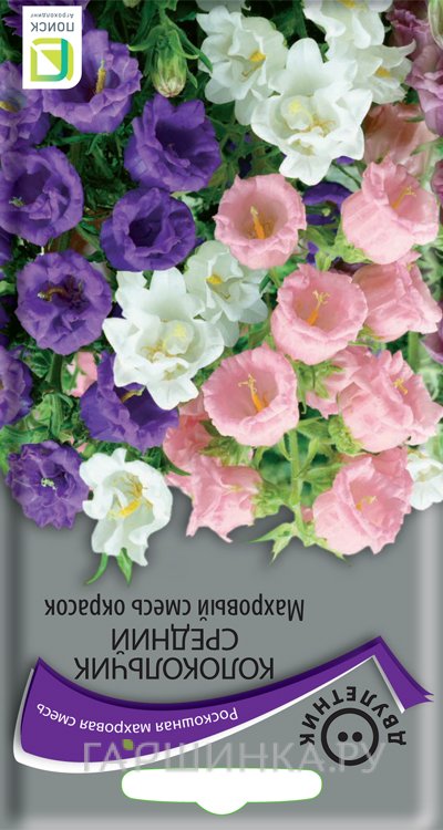 Семена Колокольчик средний Махровый смесь окрасок 0,1, Поиск