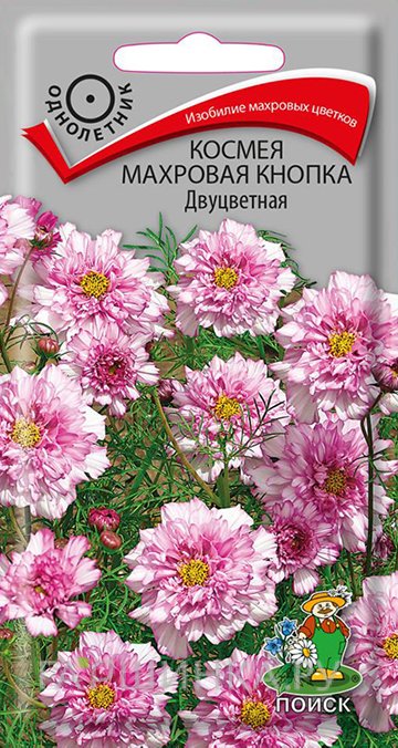 Семена Космея махровая кнопка Двуцветная 0,1, Поиск