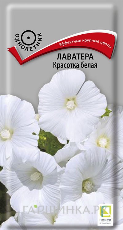 Семена Лаватера Красотка белая 0,3, Поиск