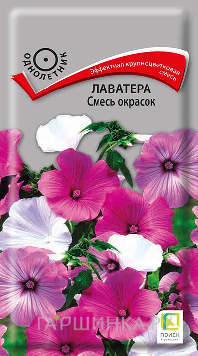 Семена Лаватера Смесь окрасок 0,5, Поиск