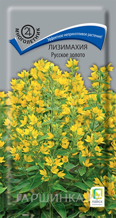 Семена Лизимахия Русское золото 0,05, Поиск
