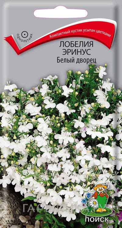 Семена Лобелия эринус Белый дворец 0,1, Поиск