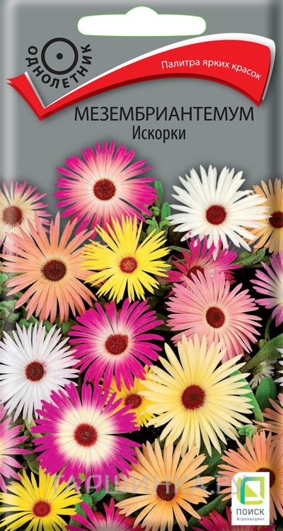 Семена Мезембриантемум Искорки 0,3, Поиск