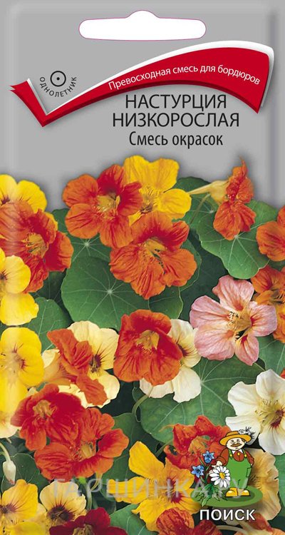 Семена Настурция низкорослая Смесь окрасок 3, Поиск