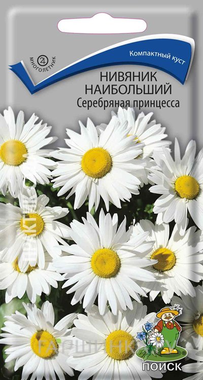 Семена Нивяник наибольший Серебряная принцесса 0,15, Поиск