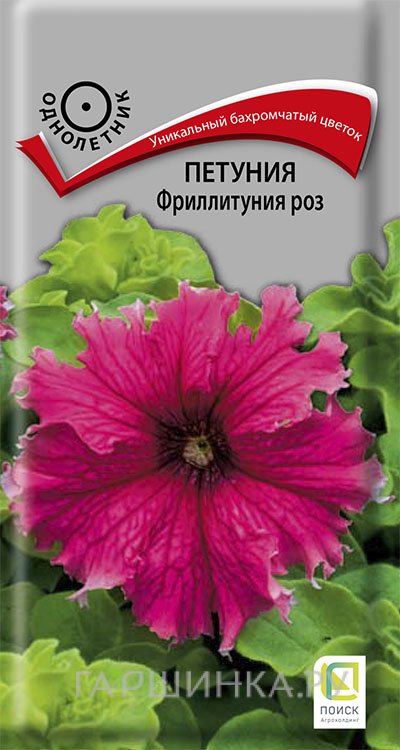Семена Петуния Фриллитуния роз 10, Поиск