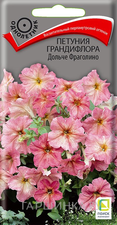 Семена Петуния грандифлора Дольче Фраголино 10, Поиск