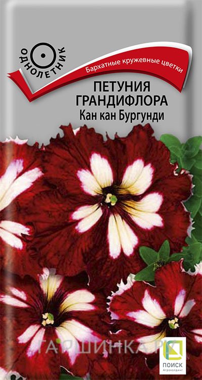 Семена Петуния грандифлора Кан кан бургунди 10, Поиск