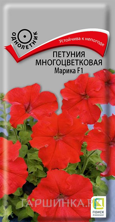 Семена Петуния многоцветковая Марика F1 20, Поиск