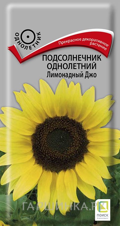 Семена Подсолнечник однолетний Лимонадный Джо 0,3, Поиск