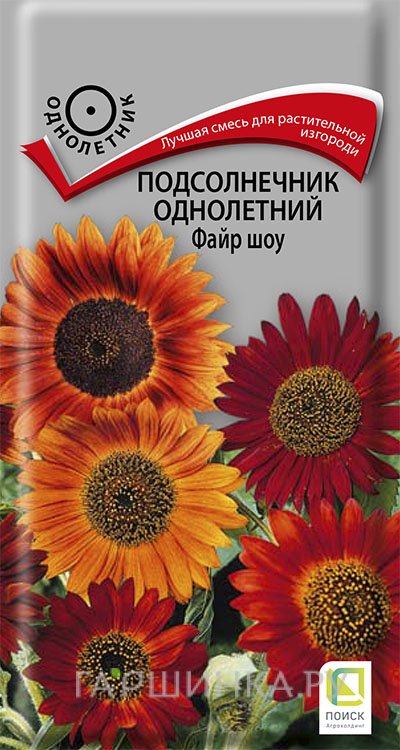 Семена Подсолнечник однолетний Файр шоу 0,5, Поиск