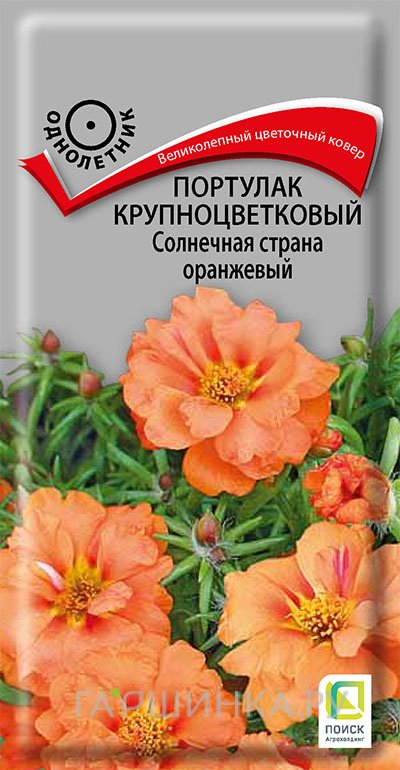 Семена Портулак крупноцветковый Солнечная страна оранжевый 0,1, Поиск