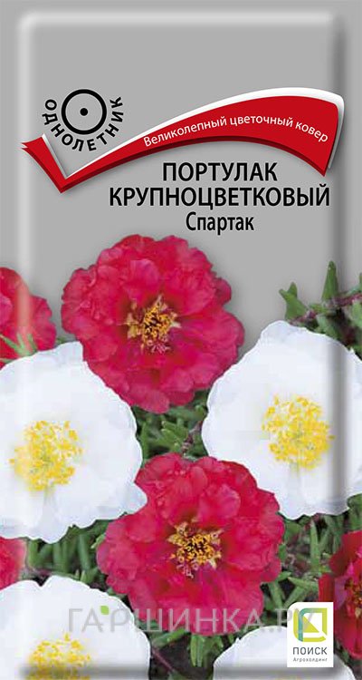 Семена Портулак крупноцветковый Спартак 0,1, Поиск