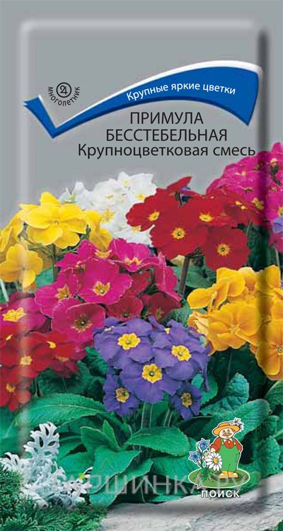 Семена Примула бесстебельная Крупноцветковая смесь 0,04, Поиск