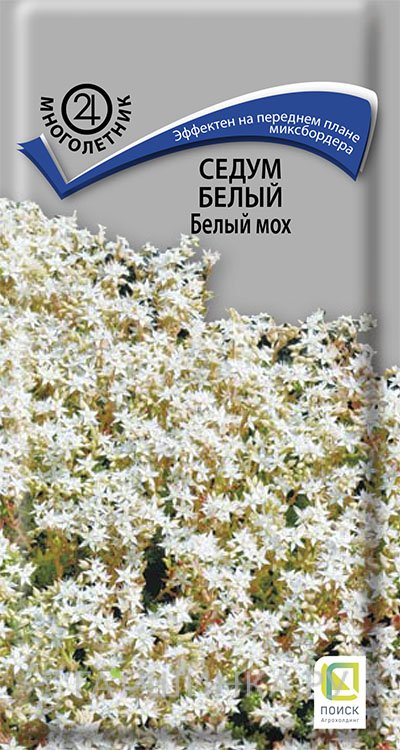 Семена Седум белый Белый мох 0,01, Поиск