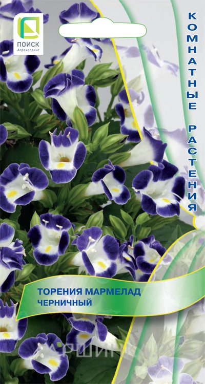 Семена Торения Мармелад Черничный 5, Поиск
