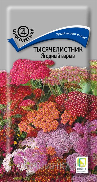 Семена Тысячелистник Ягодный взрыв 10, Поиск