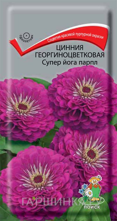 Семена Цинния георгиноцветковая Супер йога парпл 0,4, Поиск
