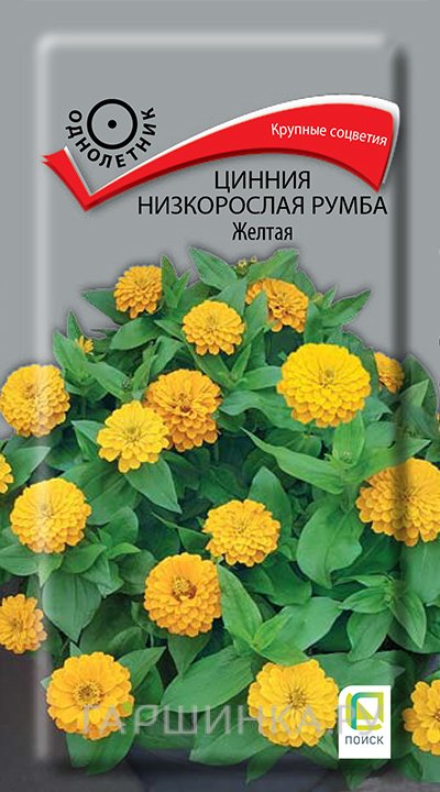 Семена Цинния низкорослая Румба Жёлтая 0,1, Поиск