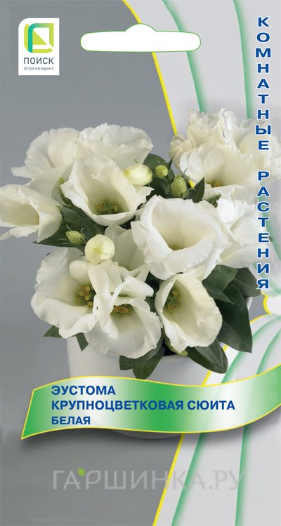 Семена Эустома крупноцветковая Сюита Белая 5, Поиск