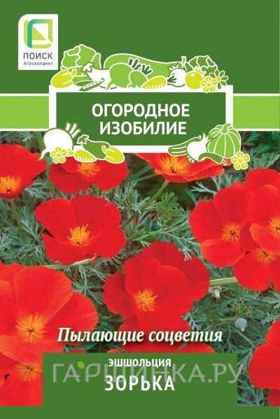 Семена Эшшольция Зорька 0,2, Поиск