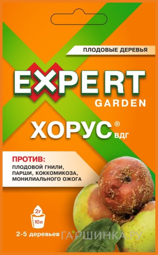Хорус, ВДГ