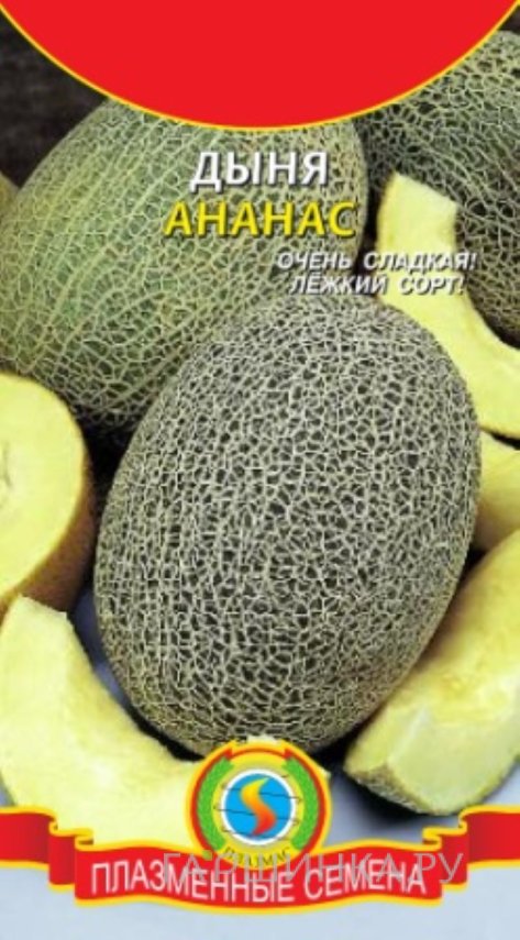 Семена Дыня Ананас, 0,5 гр, Плазменные семена
