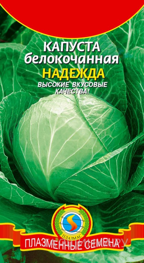 Семена Капуста б/к Надежда, 0,45 гр, Плазменные семена