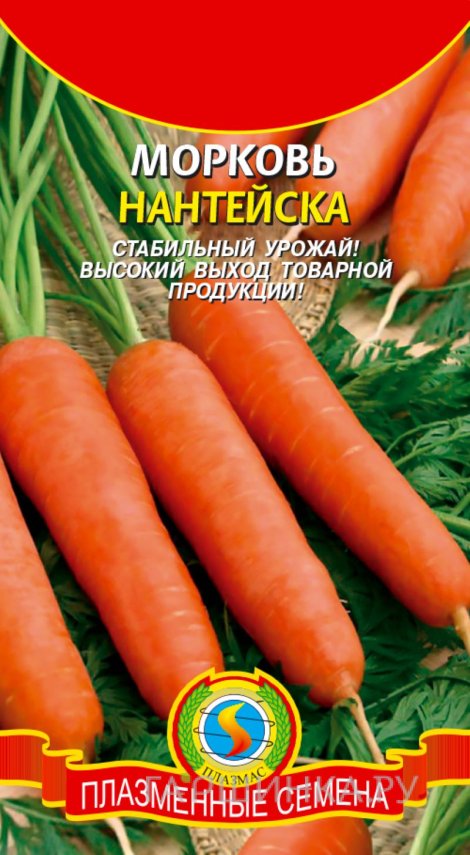 Семена Морковь Нантейска, 2 гр, Плазменные семена