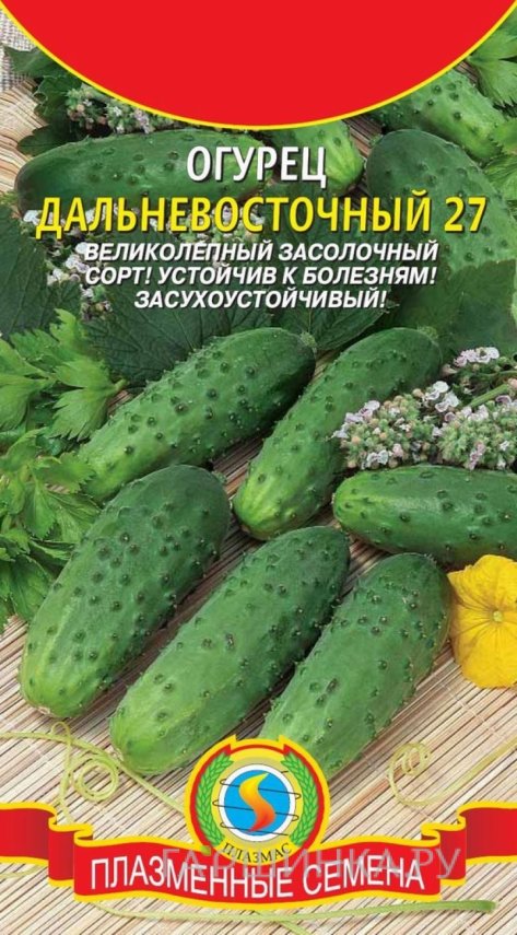 Семена Огурец Дальневосточный 27, 12 шт, Плазменные семена