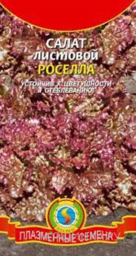 Семена Салат листовой Роселла, 0,3 гр, Плазменные семена