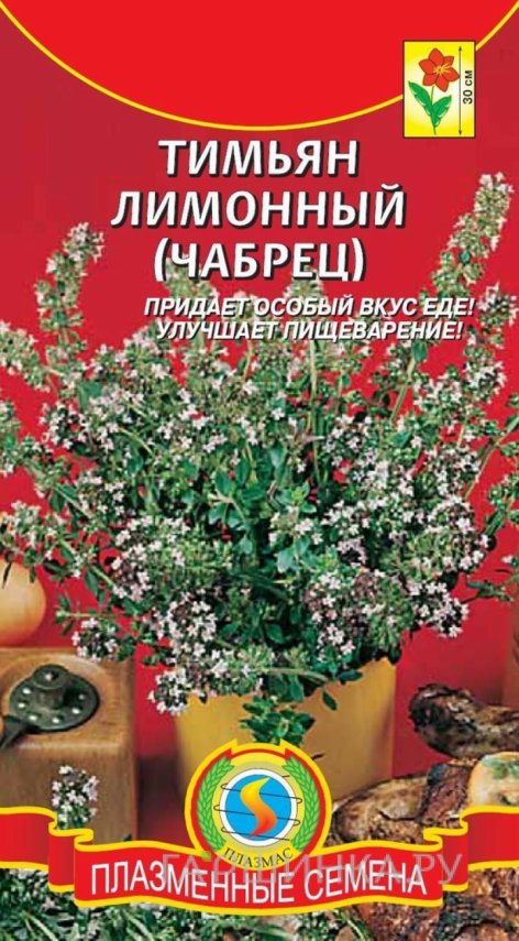 Семена Тимьян Лимонный (Чабрец), 0,1 гр, Плазменные семена