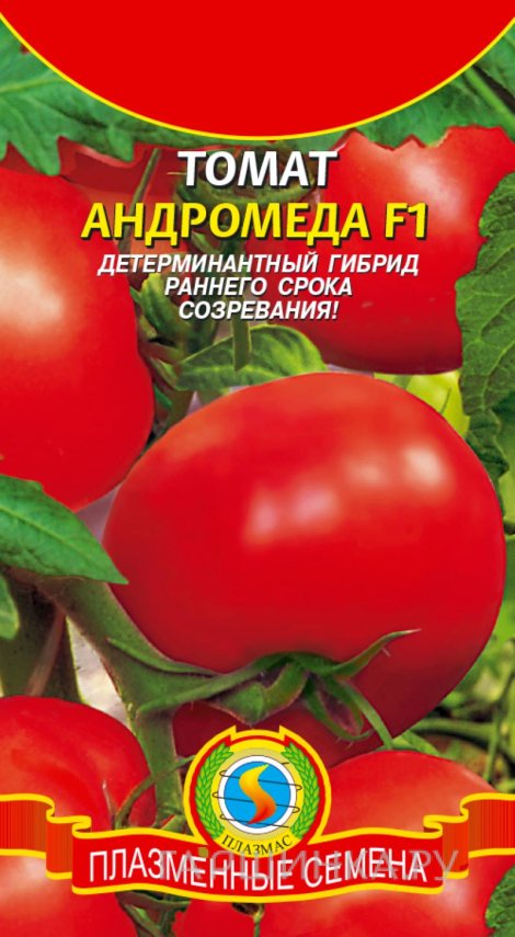 Семена Томат Андромеда F1, 10 шт, Плазменные семена