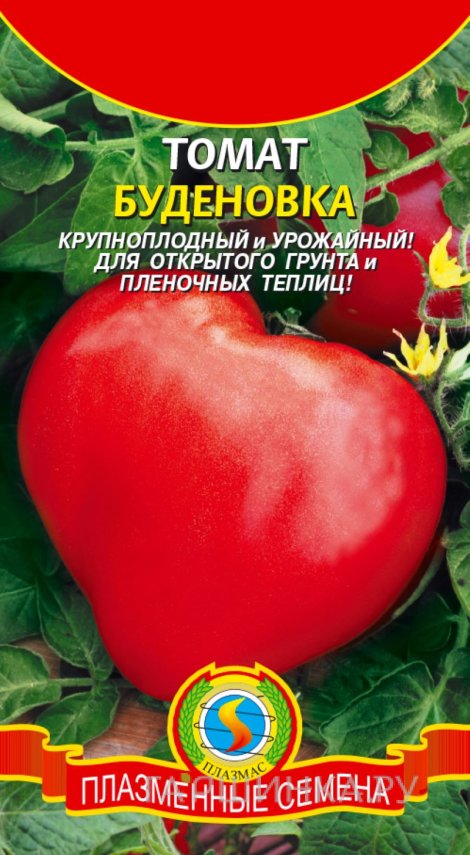 Семена Томат Буденовка, 20 шт, Плазменные семена